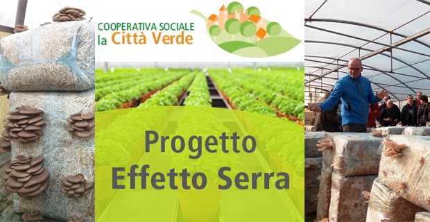 citta-verde-progetto-d