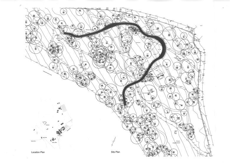 citta del capo passeggiata b