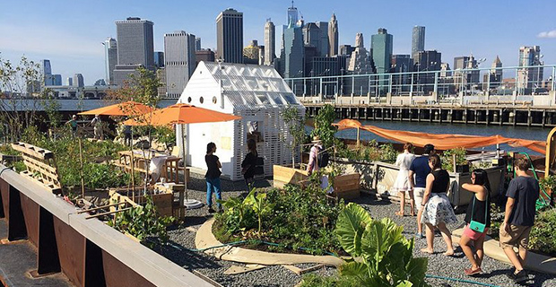 La vista di New York dalla foresta galleggiante Swale