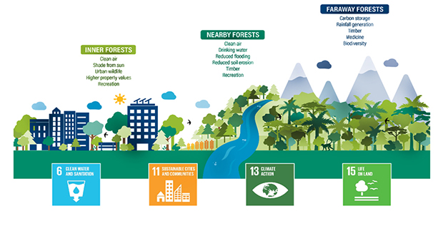 Foreste interne vicine e lontane di Cities4forest