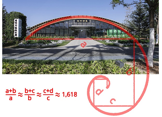 L’Architetto Cardenas ha notato che la piegatura massima degli archi di bambù che compongono la struttura corrisponde alla curva della sezione aurea 