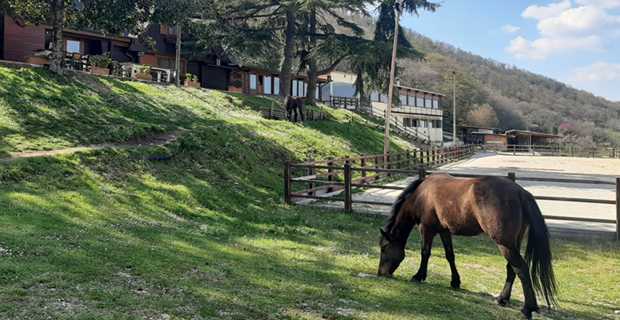 agriturismo biologico